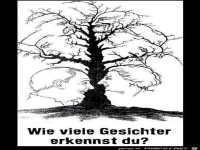 Wie viele Gesichter erkennst du
