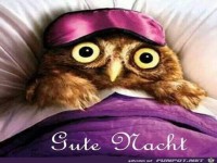 Gute Nacht