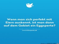 Wer kennt sich mit Eiern aus