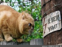 Was hei�t das denn?