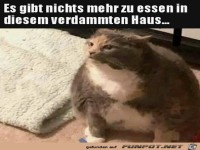 Nichts mehr zum Essen im Haus