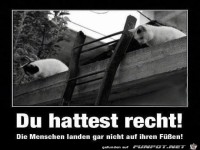 Die Menschen landen gar nicht auf den F��en