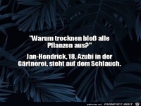 Steht auf dem Schlauch