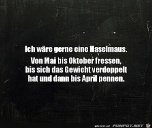 Die-Haselmaus.jpg auf www.funpot.net