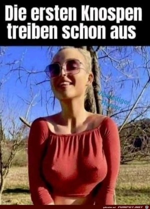 erste-Knospen.jpg auf www.funpot.net