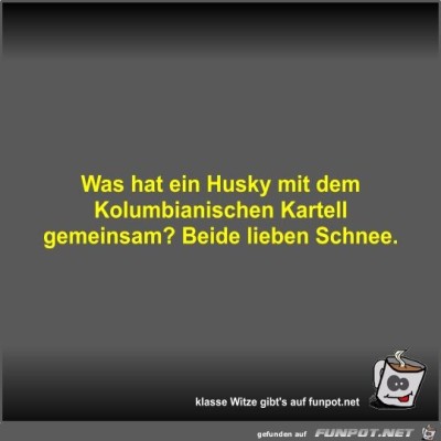 Was-hat-ein-Husky-mit-dem-Kolumbianischen-Kartell-gemeinsam?.jpg von Fossy