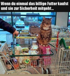 Da-geht-man-lieber-persönlich-mit.jpg auf www.funpot.net