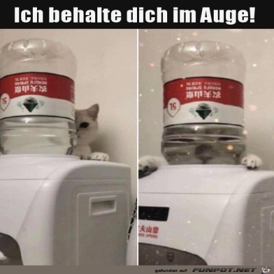 Ich-hab-dich-im-Blick.jpg von Sena