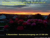 Geranien wissen nicht, dass der Sommer rum ist