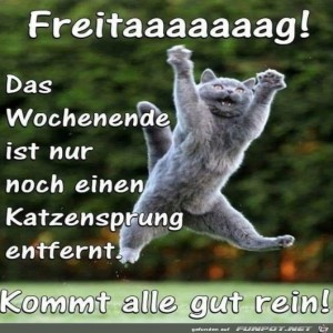 Begrüßungsbild