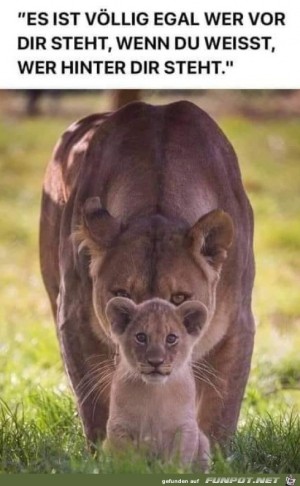 Wer-hinter-dir-steht.jpg auf www.funpot.net