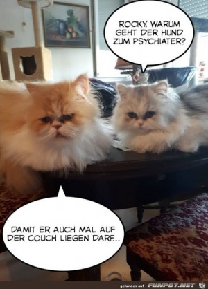 Gute-Begrndung.jpg auf www.funpot.net