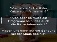 Katze schaut Fernsehprogramm mit Interesse