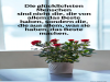 weiter