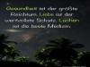 weiter