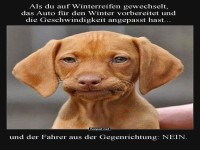 Winterreifen und skeptische Blicke