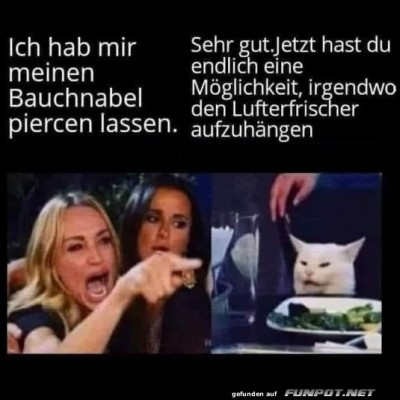 Bauchnabeldrama-und-Katzenkatastrophe.jpg von Roger05
