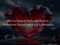 Herz aus Kristall mit guter T�rpolitik