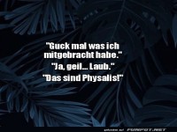 Laub oder Physalis? �berraschung garantiert!