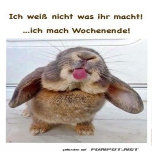 fun-Bild: Wochenende