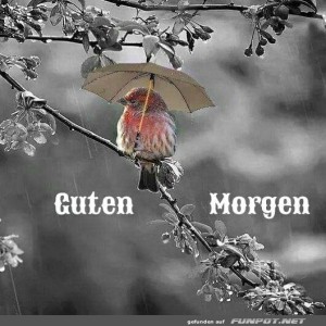 Guten-Morgen.jpg von Felia-51
