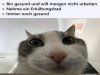weiter
