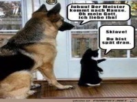 Herrchen kommt nach Hause