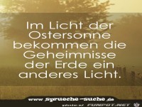 im-licht-der-ostersonne