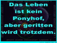 Das Leben ist kein Ponyhof