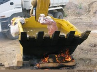 Rum�nische Wellnessoase