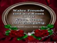 wahre Freunde......