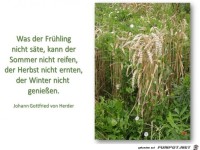was der fruehling nicht saete