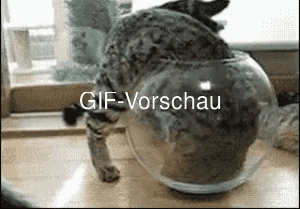 animiertes GIF 'Lustige Tiere'
