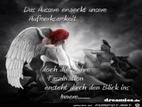 Der Blick ins Innere