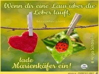 Wenn dir eine Laus...