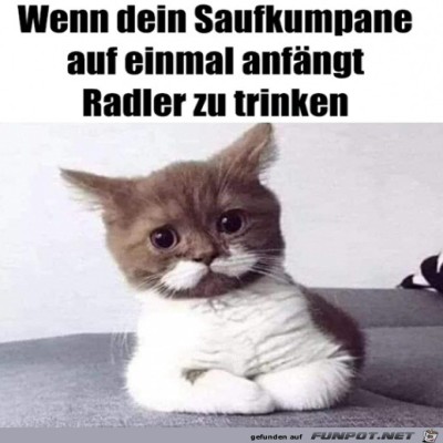 Entr&uuml;steter-Blick.jpg von Alina