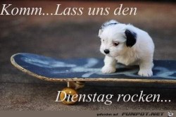 Dienstag.jpg auf www.funpot.net