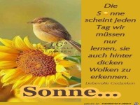 Die Sonne scheint jeden Tag