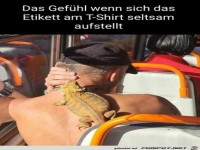 Es kratzt so seltsam