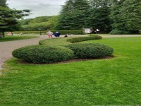 Natürlich gewachsen