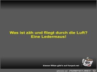 Was ist z�h und fliegt durch die Luft?