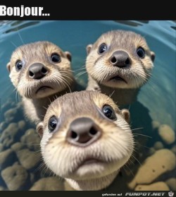 Hallo.jpg auf www.funpot.net