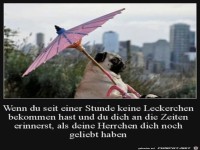 Das Leben ist schlecht