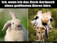 Wenn ich ein Zischger�usch h�re