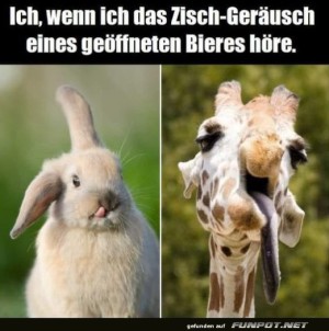 Wenn-ich-ein-Zischgeräusch-höre.jpg auf www.funpot.net
