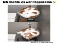 Kein Cappuccino