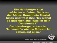 Ein Hamburger sitzt zufrieden auf einer Bank an der Alster