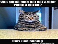 Kurz und b�ndig