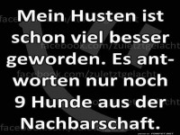 Husten: Ein Hundekonzert-Erlebnis