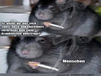 Wer �bertr�gt noch Krankheiten?